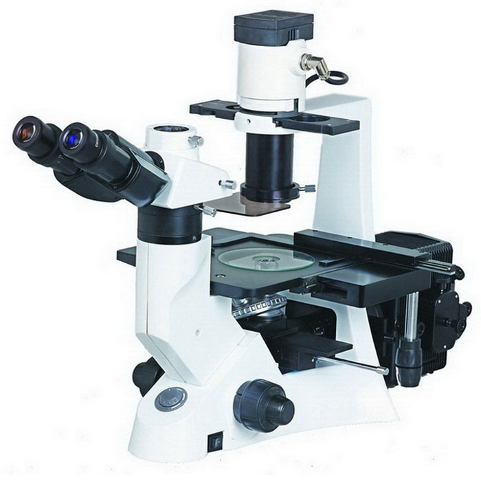 میکروسکوپ اینورت